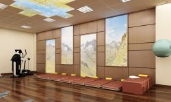 Natur und Licht im Raum