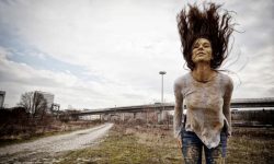 Jubiläum bei Photocase: Eine halbe Million Bilder! Nur?