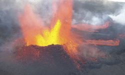 Die Welt von oben: HOsiHO neu im my-picturemaxx