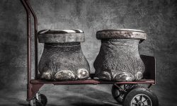 Fotovortrag von Britta Jaschinski