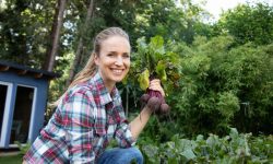 Antrag auf Juniormitgliedschaft: LENSANA U.G. – Visual Content Group