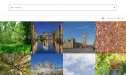 Large Format Stock Portal der Gigapixel GmbH präsentiert sich in modernem und minimalistischem Design