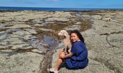 CEPIC wählt Interimsvorstand – Christina Vaughan neue Präsidentin