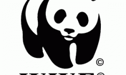 Antrag auf Fördermitgliedschaft im BVPA: WWF Deutschland/Bildredaktion