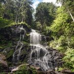 Urwälder der Zukunft - Eine WWF Erlebnistour im Schwarzwald