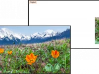 Träumt größer: Generative Fill von Adobe Firefly Generative AI jetzt in Photoshop
