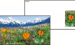 Träumt größer: Generative Fill von Adobe Firefly Generative AI jetzt in Photoshop