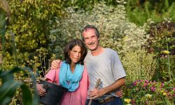 KNA-Bild: Erntedank das ganze Jahr – Hohe Nachfrage nach Schrebergärten