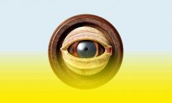 Ausstellung im DHM: Was ist Aufklärung? Fragen an das 18. Jahrhundert