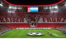 Neu in my-picturemaxx: Sampics