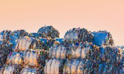 Getty Images VisualGPS Report – Nachhaltigkeit im Umbruch