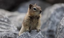 Huber Images: Kanada von Margitta Hild