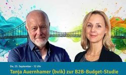 Die Bildbeschaffer: Tanja Auernhamer zur B2B-Budget-Studie