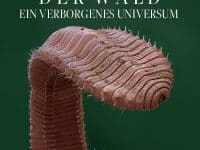 Image Professionals: Der Wald – ein verborgenes Universum