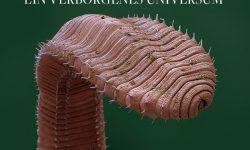 Image Professionals: Der Wald – ein verborgenes Universum