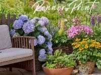 Neue Kollektion von Renner-Print bei Gartenbildagentur Friedrich Strauss