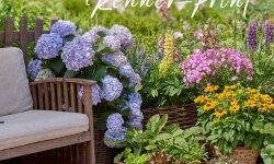 Neue Kollektion von Renner-Print bei Gartenbildagentur Friedrich Strauss